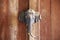 Sculpture wood elephant handle door