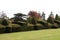 Sculptured garden hedge