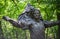 Sculptured Michael Jackson Bronze Statue at Overland Park Arboretum