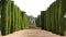 Sculptured trees in Alcazar garden, Cordoba