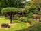 Sculptured Trees and Hedges, Imperial Palace Gardens, Tokyo, Japan