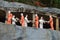 Sculptures of Buddhist monks, collecting offerings. The composition near the Golden temple. Dambulla, Sri Lanka