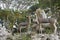 Sculptures of deer in the city Park of hue city. Vietnam