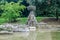 Sculptures fountain from which the water flows into the artificial lake in park at Vila Pamphili in Rome, capital of Italy