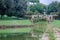 Sculptures fountain from which the water flows into the artificial lake in park at Vila Pamphili in Rome, capital of Italy