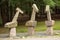 Sculptures in the Keillers Park, Gothenburg. `Three Graces` Per Agelii