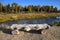 Scwabacher Landing in Grand Tetons National Park, Wyoming