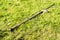 Scythe is old agricultural tools for mowing grass