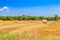 Scythed corn field with bales of strow