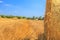 Scythed corn field with bales of strow