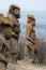 Scythian kurgan anthropomorphic stone sculptures