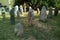 Scythian stone women on the lawn near the city museum. Ancient gray stone sculptures.