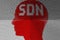 SDN concept head