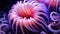 Sea anemones underwater Close-up. Vibrant sea anemone Fish. Colorful abstract natural texture, panoramic underwater