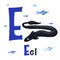 Sea Animals Alphabet. ABC for children. Letter E