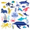 Sea Animals or Marine Life Floating Underwater Vector Set