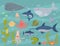 Sea animals vector creatures characters cartoon ocean wildlife marine underwater aquarium life water graphic aquatic