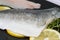 Sea bass fillets