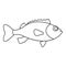 Sea bass icon, outline style