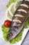 Sea bass with lemon, lettuce and tomatoes vertical. top view
