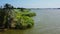 Sea bay, cormorants are sitting on tree branches, aerial view