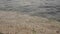 Sea beach - close-up, waves, stones and shells, sand and seaweed