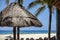 Sea beach with palm trees, sun umbrellas, sun beds
