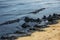 The sea and the beach are polluted with oil. A crude oil spill on the sand of a city beach. Beach oil spill impact, pollution,