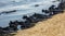 The sea and the beach are polluted with oil. A crude oil spill on the sand of a city beach. Beach oil spill impact, pollution,