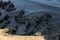 The sea and the beach are polluted with oil. A crude oil spill on the sand of a city beach. Beach oil spill impact, pollution,