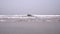 Sea beach and waves. Gray dark sea waves on the shore. Background of the sea