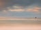 Sea birds on boulder sticking out from smooth wavy sea. Evening wavy ocean. Dark horizon with the last sun rays. Soft focus