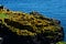 Sea Birds and Coastal Rocks - Isle of May, Scotland