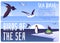 Sea birds informational web banners set, flat vector illustration.