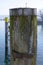 Sea bollard standing in the water made of wood and rusty iron