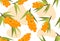 Sea buckthorn seamless background