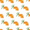 Sea buckthorn seamless pattern