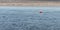 An sea buoy. Seascape. Calm water surface. Body of water