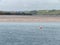 An sea buoy on the water. Seascape. Calm water surface. Body of water