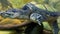 Sea cayman tortoise swims in clear water.