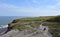 Sea Cliff Walk with a Pasture with Cows in England