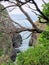 Sea cliffs at sugarloaf Point near Seal Rocks. Eroded gully filled with the ocean. Dead tree in foreground