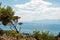 Sea and coast of Posillipo,