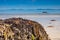 Sea coast with sandy beach,Lofoten Norway