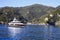 The sea and the coastline near Portofino, Genova, Liguria, Italy