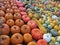 Sea of colorful diversified pumpkins