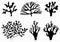 Sea corals and seaweed black silhouette. vector isolated set