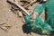 Sea crab on discharged plastic bottle on polluted sandy sea coast habitat