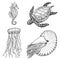 Sea creature cheloniidae or green turtle and seahorse. nautilus pompilius, jellyfish and starfish or mollusk. engraved