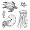 Sea creature cheloniidae or green turtle and seahorse. nautilus pompilius, jellyfish and starfish or mollusk. engraved